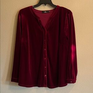 Elegant Velvet Burgundy Blouse